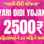 Delhi Pyari Didi YOJANA