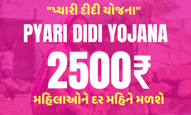 Delhi Pyari Didi YOJANA